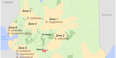 Kenya istituto di indagine e mappatura struttura di pagamento