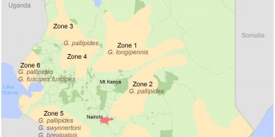 Kenya istituto di rilevamento e mappatura dei corsi di