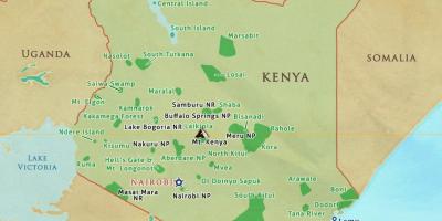 Mappa del Kenya parchi nazionali e riserve